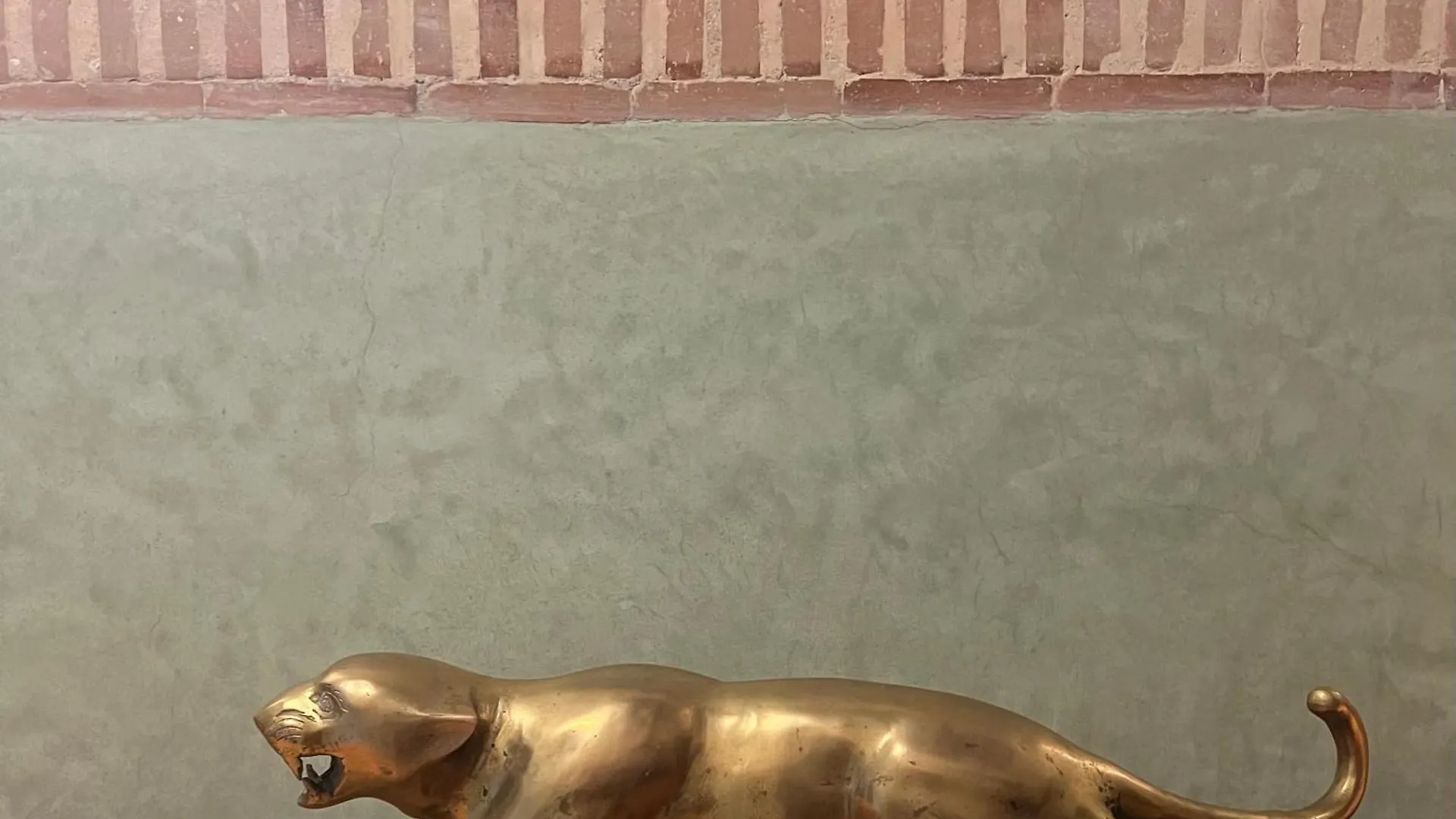 Riad Panthera, Medina Μαρακές Βίλα